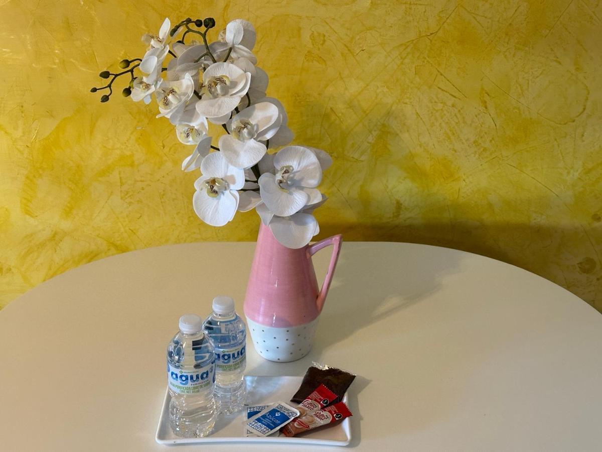 Suites Brisa Marina - Atras De Playa Regatas Y El Malecon, 6 Calles Del Acuario Веракруз Екстериор снимка